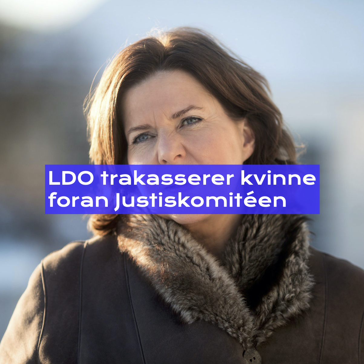 LDO trakasserer kvinne foran justiskomitéen