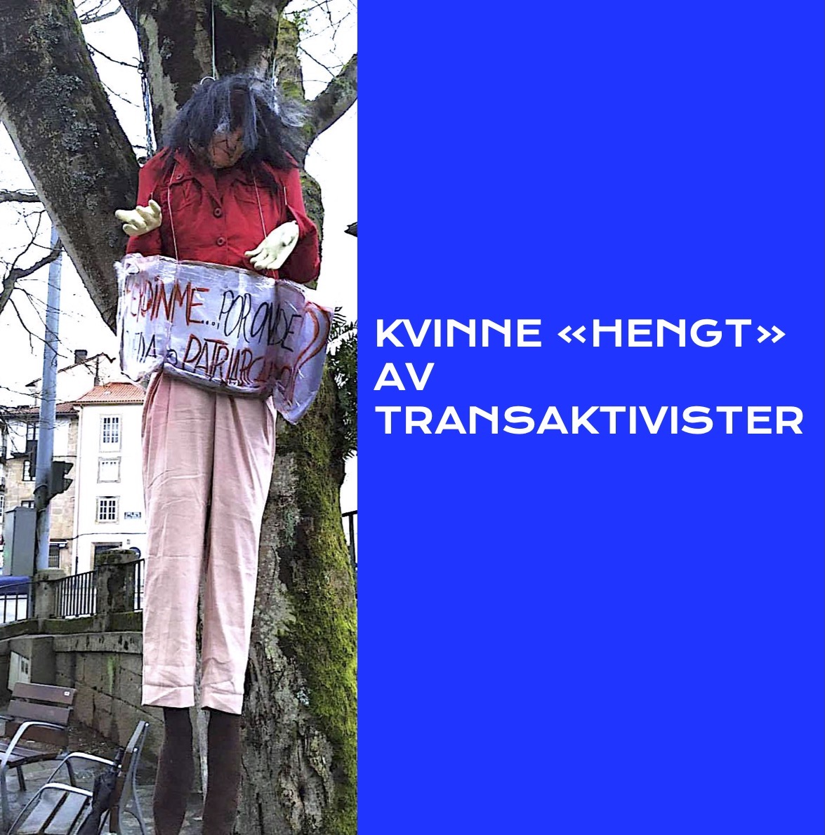 Feminist «hengt» av transaktivister