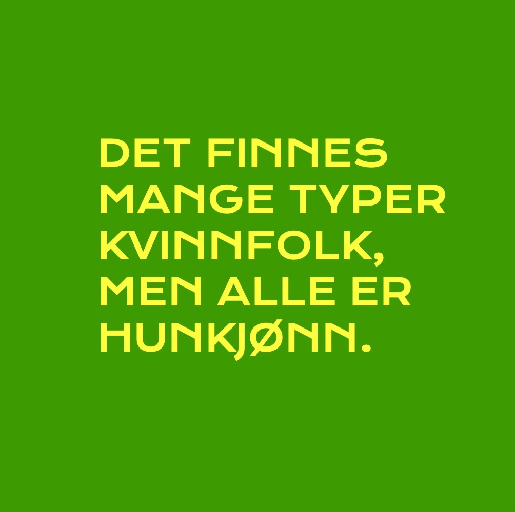 Det finnes mange typer kvinnfolk, men alle er hunkjønn.
