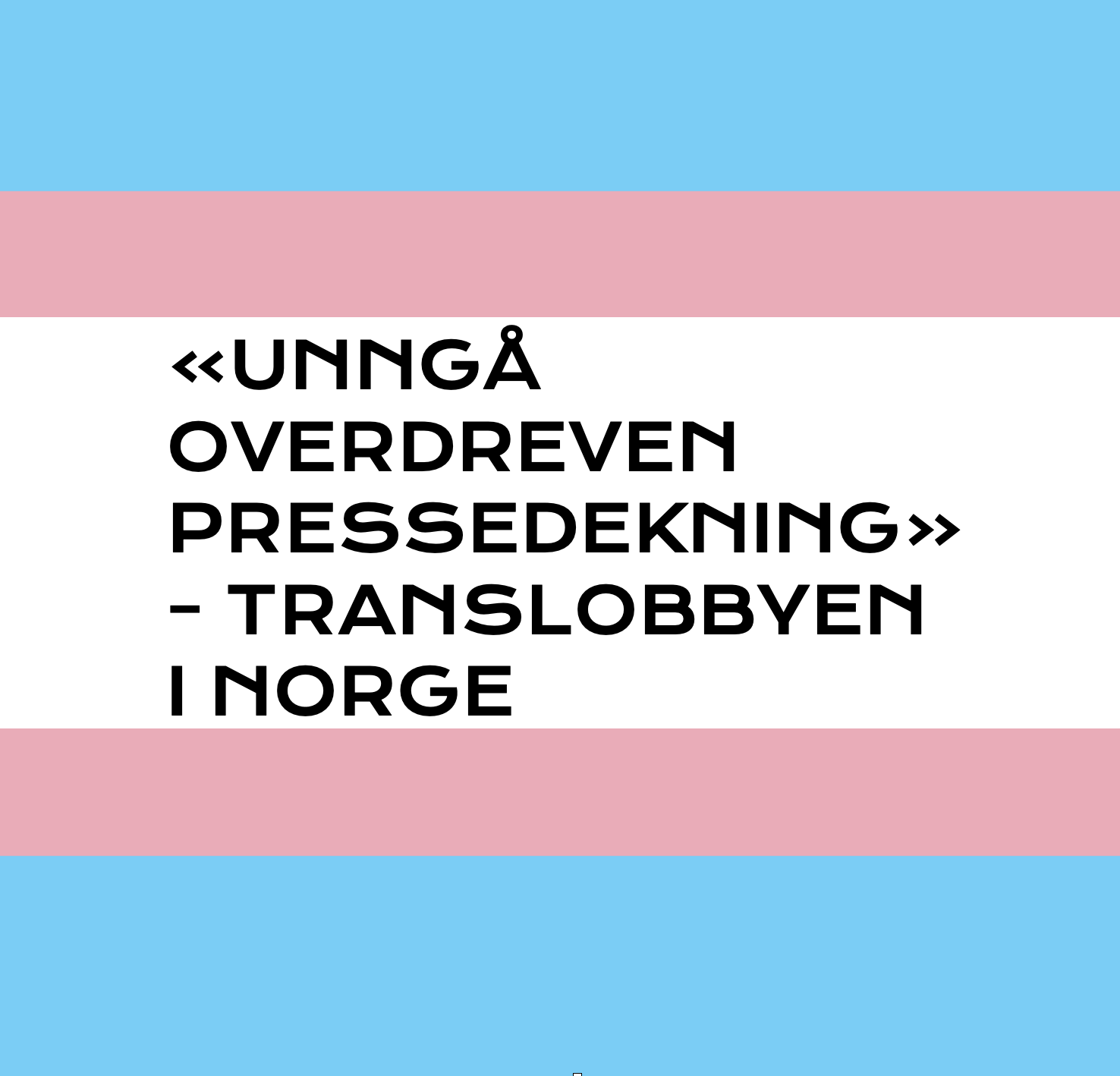 «Unngå overdreven pressedekning»- Translobbyen i Norge