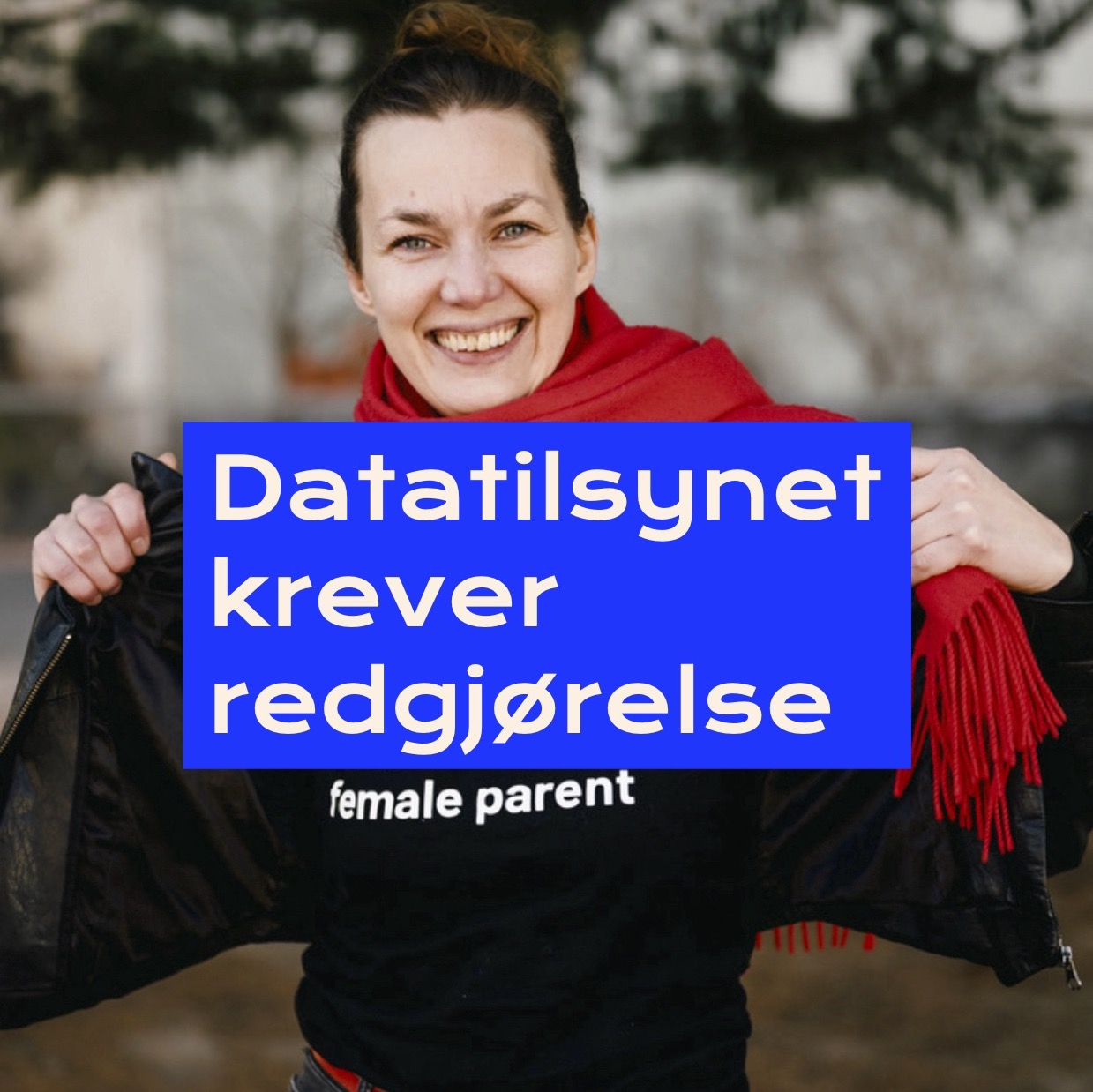 Datatilsynet